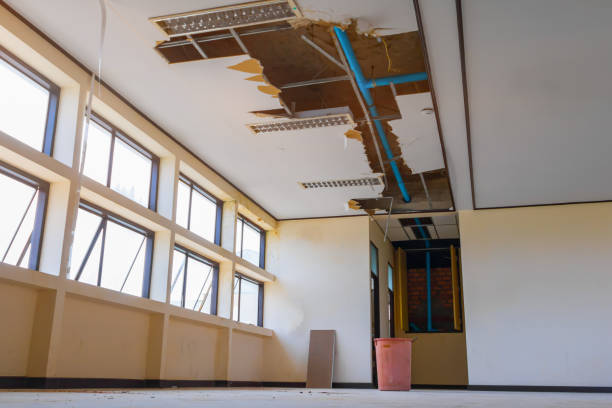 Best 24/7 water damage repair  in Sauk Centre, MN