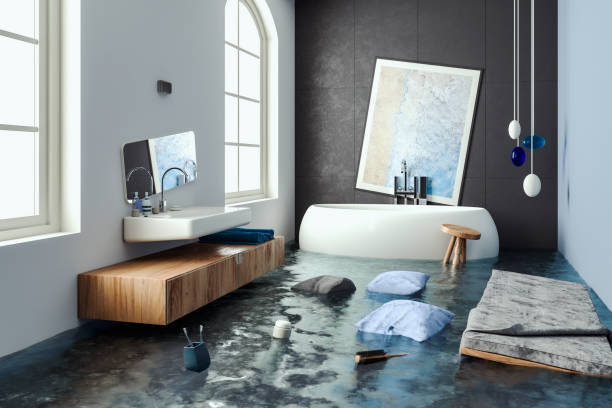 Best Professional water damage repair  in Sauk Centre, MN