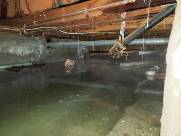 24/7 water damage repair in MN