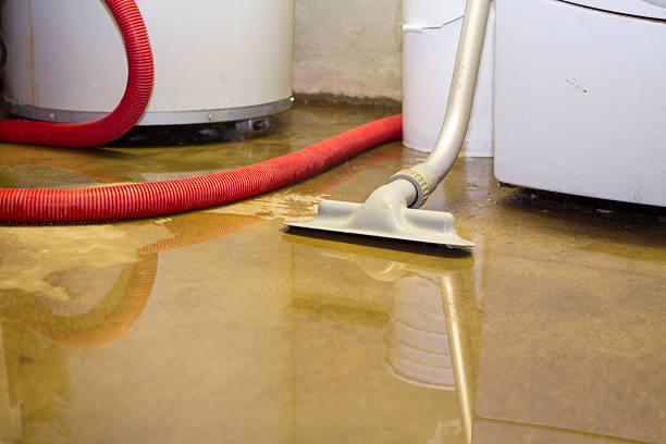 Best Water damage restoration near me  in Sauk Centre, MN