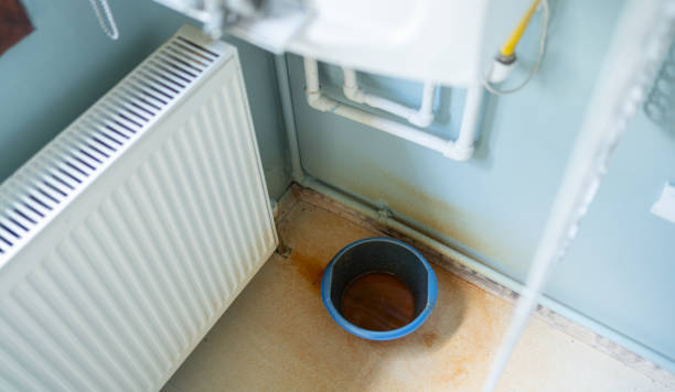 Best Ceiling water damage repair  in Sauk Centre, MN