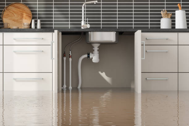 Best 24-hour water damage restoration  in Sauk Centre, MN